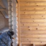 Дом из оцилиндрованного бревна 24 диаметра (Кадый)